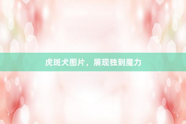 虎斑犬图片，展现独到魔力