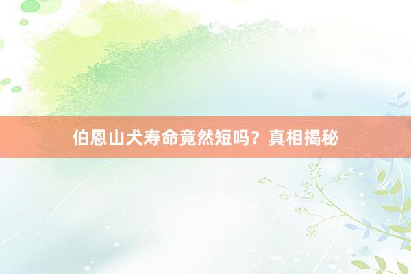 伯恩山犬寿命竟然短吗？真相揭秘