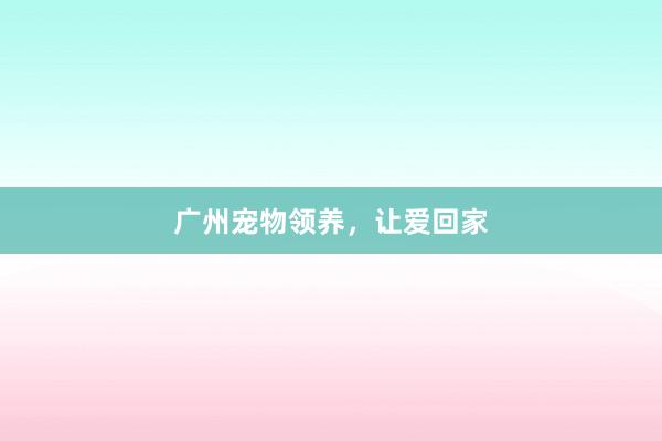 广州宠物领养，让爱回家